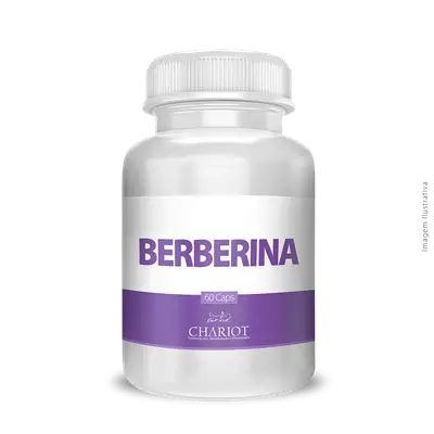 Berberina 500mg 60 Cápsulas