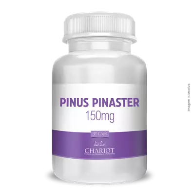 Pinus pinaster 150mg 30 Cápsulas