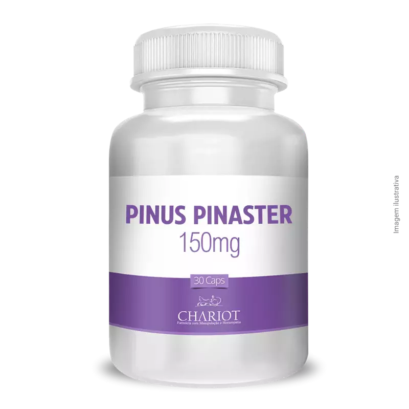 Pinus pinaster 150mg 30 Cápsulas